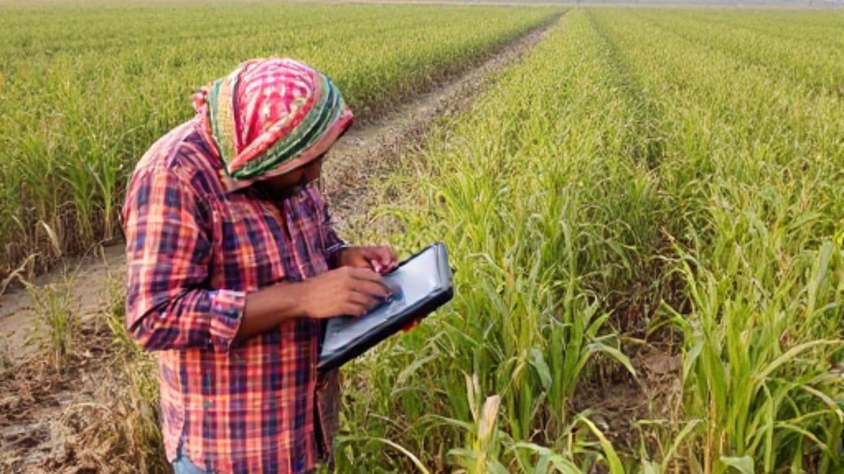 Digital Crop Survey: बिहारमधील जमीन हिंद महासागरात, कृषी अधिकारीही चक्रावले; जाणून घ्या काय झाला घोळ?