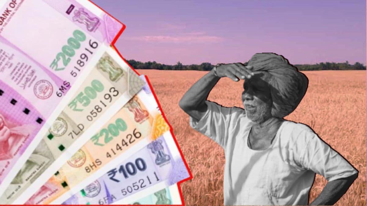 PM Kisan Yojana 19th Installment: 24 फेब्रुवारीला पीएम किसान योजनेचा 19 वा हप्ता येणार, शेतकऱ्यांनी ई-केवायसी प्रक्रिया पूर्ण करणे आवश्यक