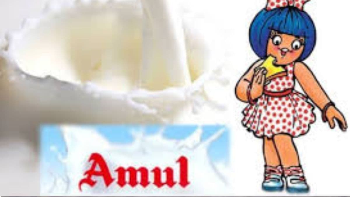 Amul Milk Price Reduce: अमूलचं दुध झालं स्वस्त! कंपनीने प्रति लिटर 1 रुपयांनी कमी केले दुधाचे दर