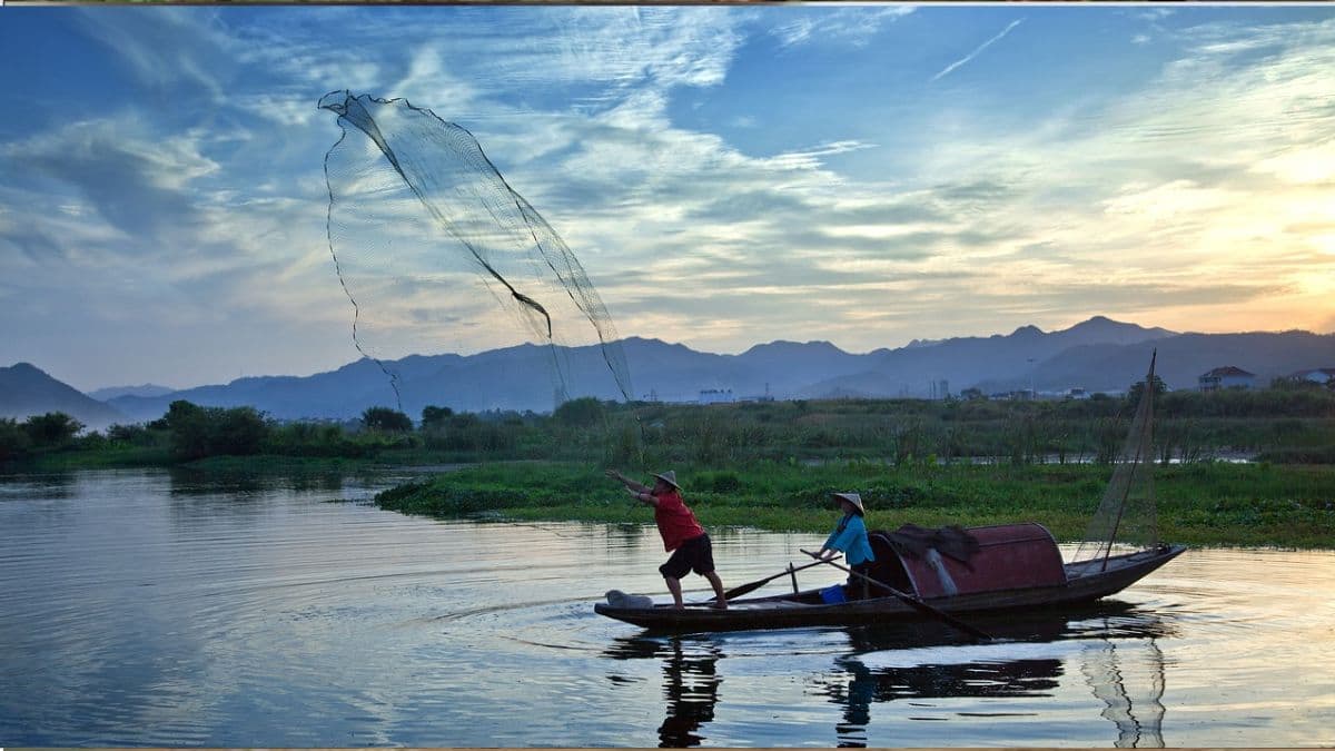 Indian Fishermen Hit In Sri Lankan Navy Firing: श्रीलंकेच्या नौदलाच्या गोळीबारात 5 भारतीय मच्छिमार जखमी; भारताने व्यक्त केला तीव्र निषेध