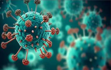 HMPV Virus: देशात एचएमपीव्हीचे आणखी एक प्रकरण आले समोर, पुद्दुचेरीमध्ये 5 वर्षाची मुलगी संक्रमित