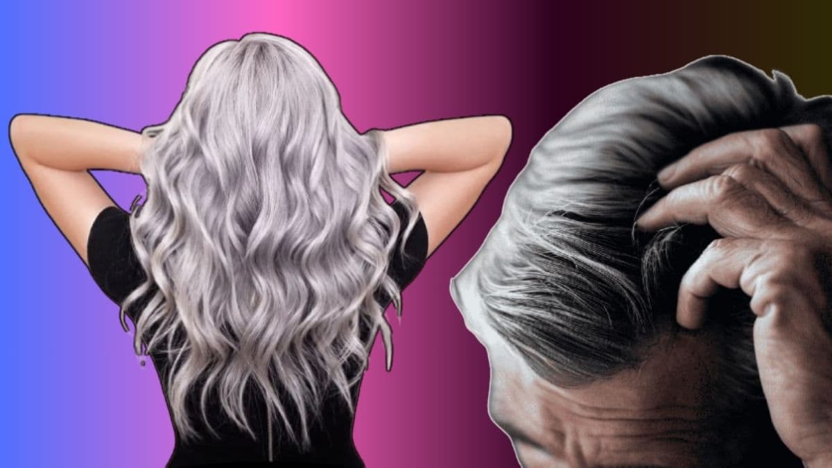 Grey Hair Causes and Remedies: केस अकाली पांढरे होण्याची कारणे आणि त्यावर उपाय काय? घ्या जाणून