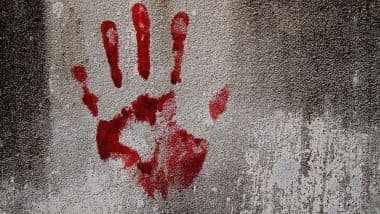 Chhatrapati Sambhajinagar Shocker: वैजापूर तालुक्यात आश्रमात घुसून महिला कीर्तनकाराची दगडाने ठेचून हत्या; गुन्हा दाखल