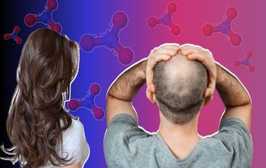 Buldhana Hair Loss Causes: केस गळती, डोक्याला टक्कल पडण्याचे कारण सापडले; Buldhana Takkal Virus संदर्भात धक्कादायक माहिती