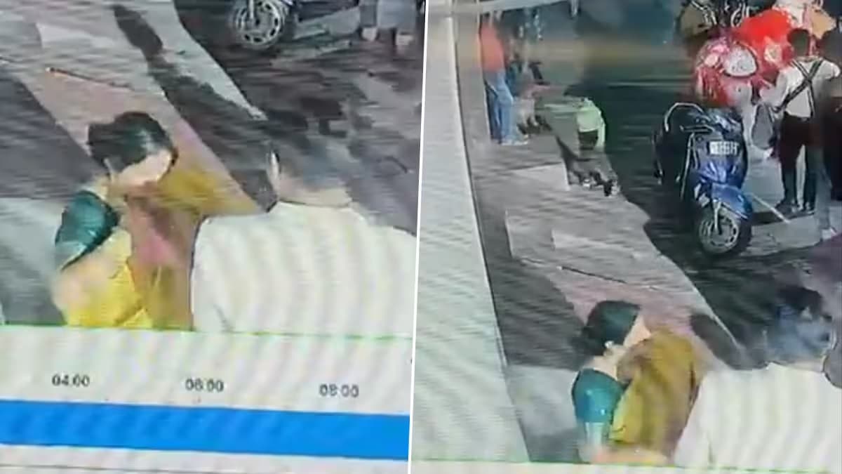 Tragic Wedding Incident in Kanpur: लग्नाच्या वरातीत घोड्याने लाथ मारल्याने मुलाचा मृत्यू; घटनेचा Video  सोशल मीडियावर व्हायरल