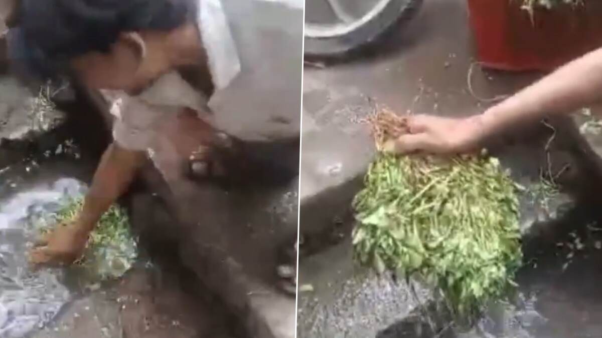 Washing Vegetables In Sewer Water: उल्हासनगरच्या खेमाणी मार्केटमध्ये विक्रेत्याने नाल्याच्या पाण्यात धुतल्या भाज्या; व्हायरल व्हिडिओ पाहून नेटीझन्सनी व्यक्त केला संताप