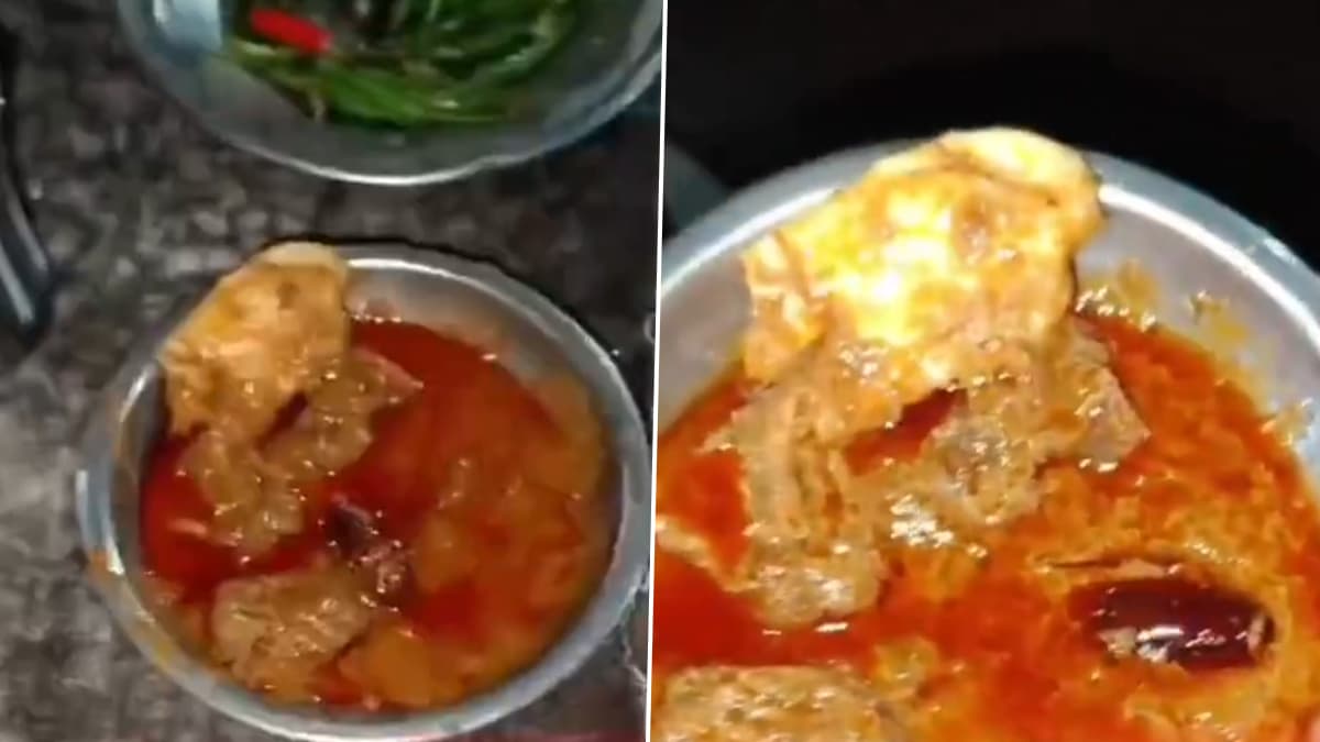 Dead Cockroach Found in Food: मसुरी येथील प्रसिद्ध हॉटेलमध्ये भाजीत आढळला मृत झूरळ; ग्राहकाकडून कडक कारवाईची मागणी (Video)