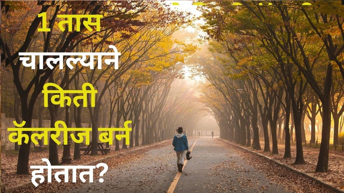 Health Benefits Of Walking: एक तास चालल्याने किती कॅलरीज बर्न होतात? चालण्याचे आरोग्यदायी फायदे ऐकल्यानंतर, तुम्हीही उद्यापासून चालायला सुरुवात कराल