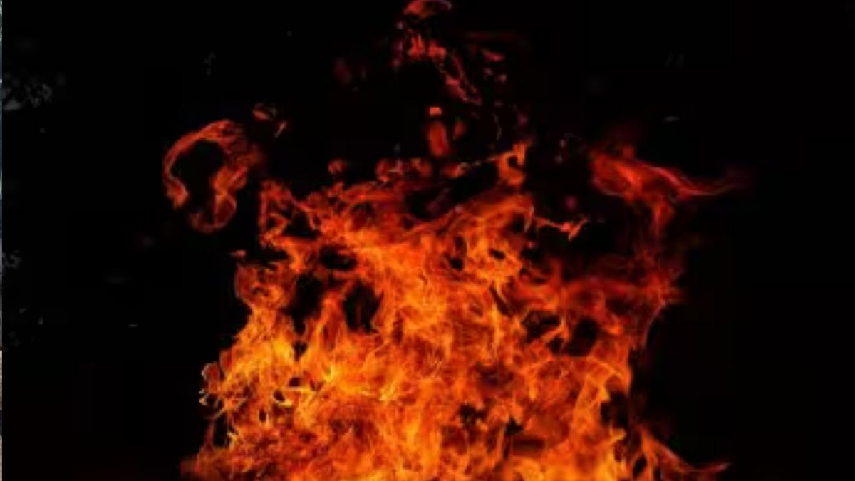 Mira Road Fire: मीरा रोड मध्ये बेकायदेशीर झोपड्यांमध्ये भडकली आग (Watch Video)