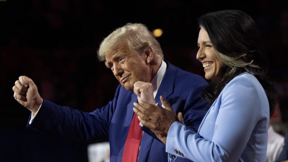 Tulsi Gabbard यांच्याकडे President Donald Trump च्या सरकार मध्ये National Intelligence च्या संचालक पदाची जबाबदारी