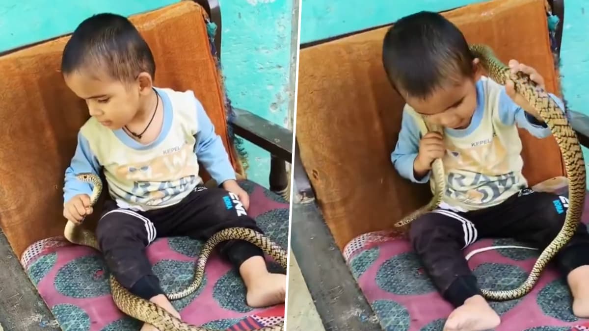 Child Plays With Dangerous Snake: Reel बनवण्यासाठी काहीही..! लहान मुलाचा सापासोबत खेळतानाचा व्हिडिओ पाहून नेटीझन्स संतापले (Watch Video)