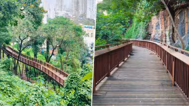 Mumbai’s First Elevated Nature Trail: मुंबईच्या काँक्रीटच्या जंगलात हिरवे नंदनवन; मलबार हिल इथे सुरु झाला शहरातील पहिला 'एलिव्हेटेड नेचर ट्रेल', जाणून घ्या दर, वेळ व कुठे कराल बुकिंग