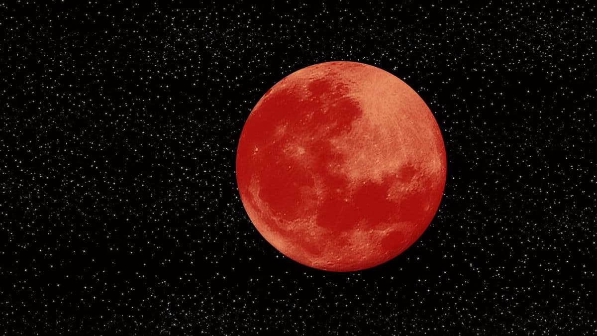 Blood Moon 2025: होळीला दिसणार पूर्ण चंद्रग्रहण, जाणून घ्या, तारीख, वेळ आणि महत्व