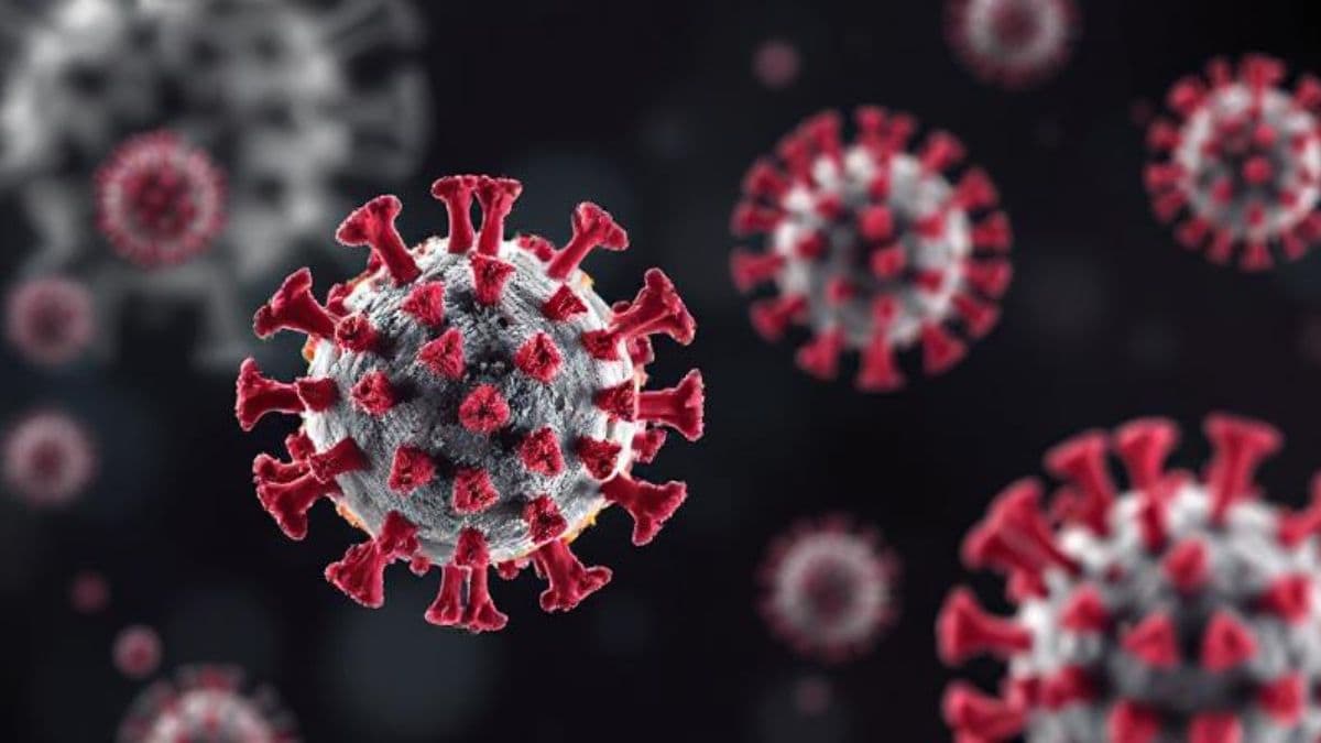 Human Coronavirus HKU1: कोलकाता येथील महिलेस मानवी कोरोना विषाणू एचकेयू वन संसर्ग; लक्षणे, प्रसार आणि प्रतिबंध, घ्या जाणून