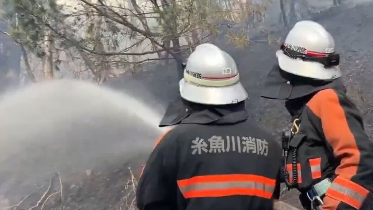 Japan Fights Its Largest Wildfire: जपानच्या जंगलामध्ये भीषण आग; हजारो लोकांनी घर सोडलं