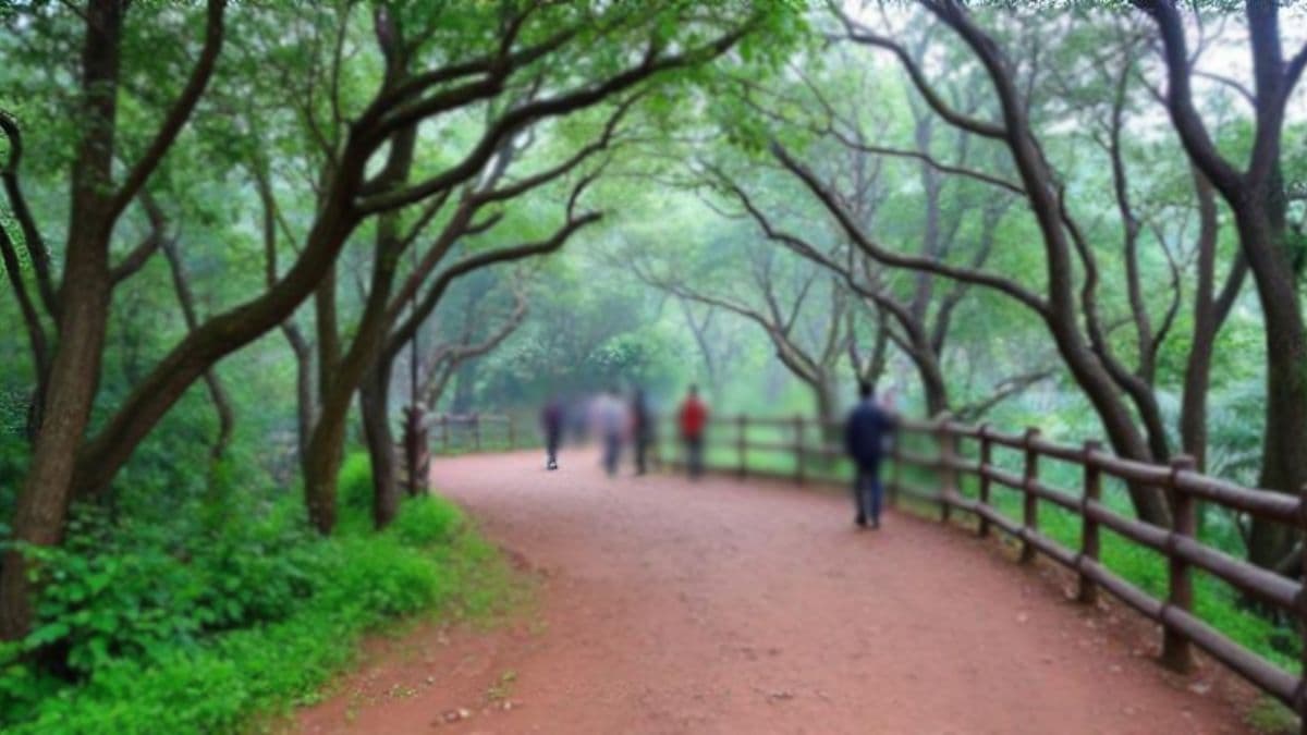 Matheran Strike Ends: माथेरान बंद मागे, स्थानिकांसह आमदार महेंद्र थोरवे आणि प्रशासनाच्या बैठकीत तोडगा