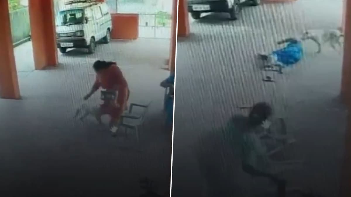 Dog Attack Shocking Video: पालघरमध्ये वाढली कुत्र्यांची दहशत; डहाणू येथे सोसायटीत मोकाट कुत्र्याचा दोन महिलांवर जीवघेणा हल्ला (Watch)