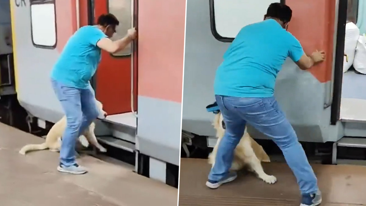 Rajdhani Express Viral Video: मालकासोबत राजधानी एक्सप्रेसचा प्रवास बेतला कुत्र्याच्या जीवावर; प्लॅटफॉर्मवरून घसरून अडकला रेल्वे रुळांत (Video)