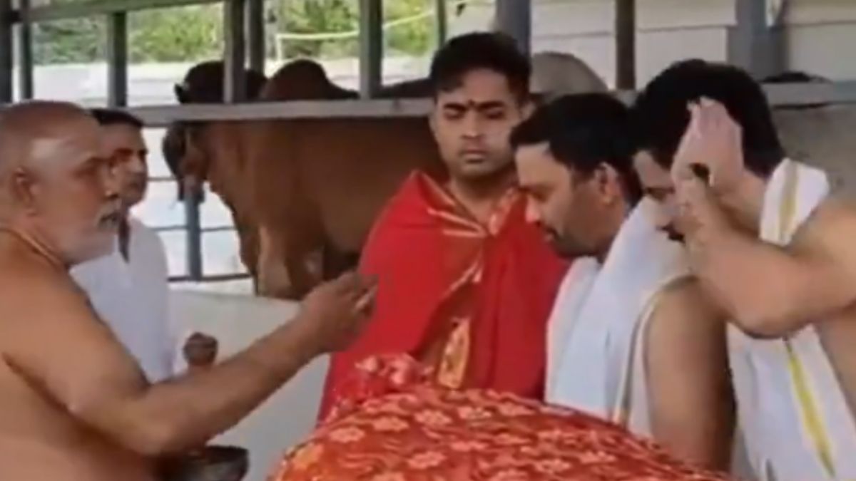 Akash Ambani Visits Tirumala Temple: आकाश अंबानी यांच्याकडून तिरुमाला मंदिरात दर्शन, गोशाळेसही भेट