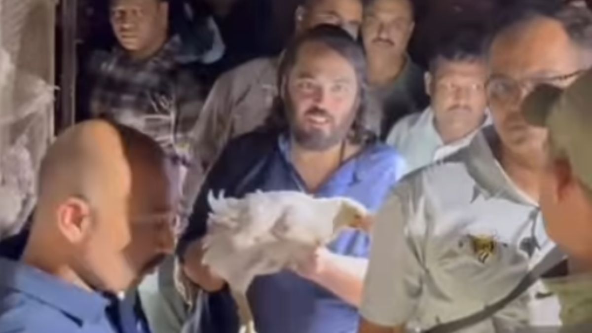 Anant Ambani: अनंत अंबानी यांनी पायी तीर्थयात्रेदरम्यान वाचवले कोंबड्यांचे प्राण, वाचा सविस्तर