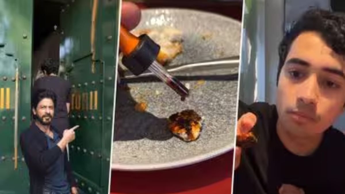 Fake Paneer Test Video: गौरी खानच्या 'Torii' रेस्टॉरंटमध्ये बनावट पनीर? इन्फ्लुएंसरच्या आयोडीन चाचणीचा व्हिडिओ व्हायरल