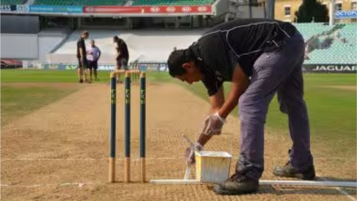 How Many Creases Are There in Cricket? क्रिकेटमध्ये किती क्रिज असतात? गुगल सर्चमधील गुगली अनलॉक करण्यासाठी योग्य उत्तर पहा