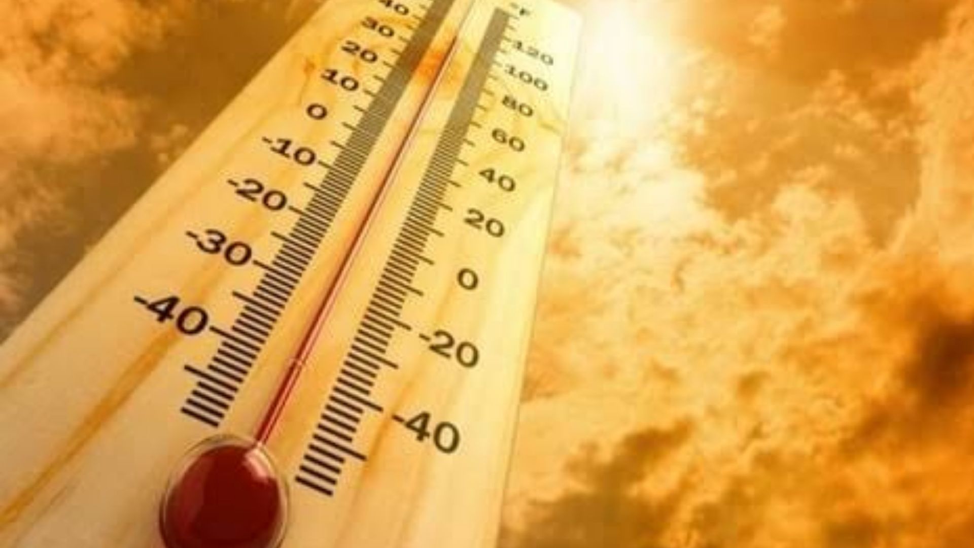 Maharashtra Weather Update: विदर्भ, मराठवाड्यातील काही भागात पुढील 4-5 दिवस तापमान 42 अंशापर्यंत राहण्याची शक्यता; हवामान विभागाचा अंदाज