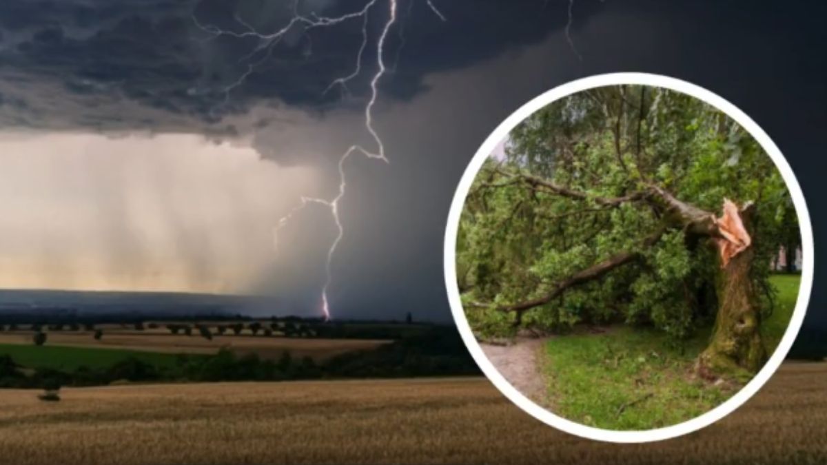 IMD Weather Forecast May 2025: मे महिन्याचा पहिला आठवड्यात वादळ आणि मुसळधार पाऊस; आयएमडीचा हवामान अंदाज