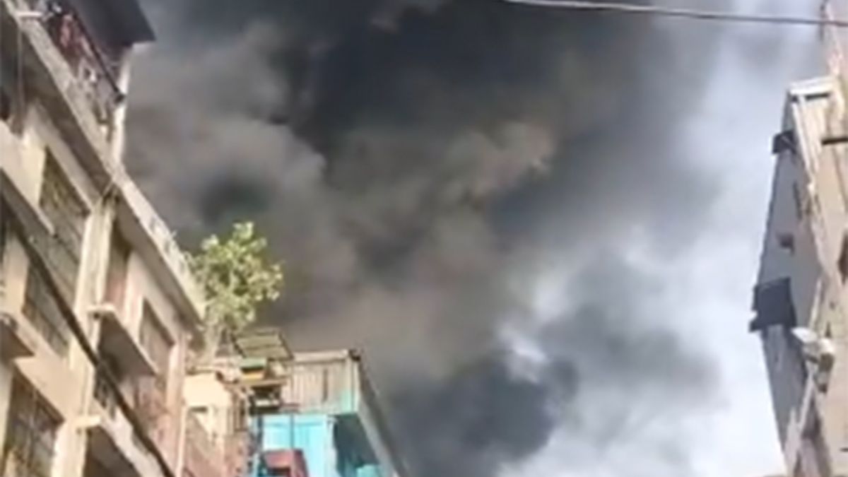 Delhi Fire News: दिल्लीतील केशव पुरम येथील HDFC Bank जवळ कारखान्यात मोठी आग, अग्निशमन दलाच्या 14 गाड्या तैनात (VIDEO)
