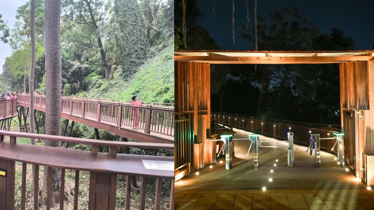 How To Book Nature Trail In Malabar Hill: मलबार हिल येथील निसर्ग उन्नत मार्गाला भेट देण्यासाठी ऑनलाईन बूकिंग कसं कराल?