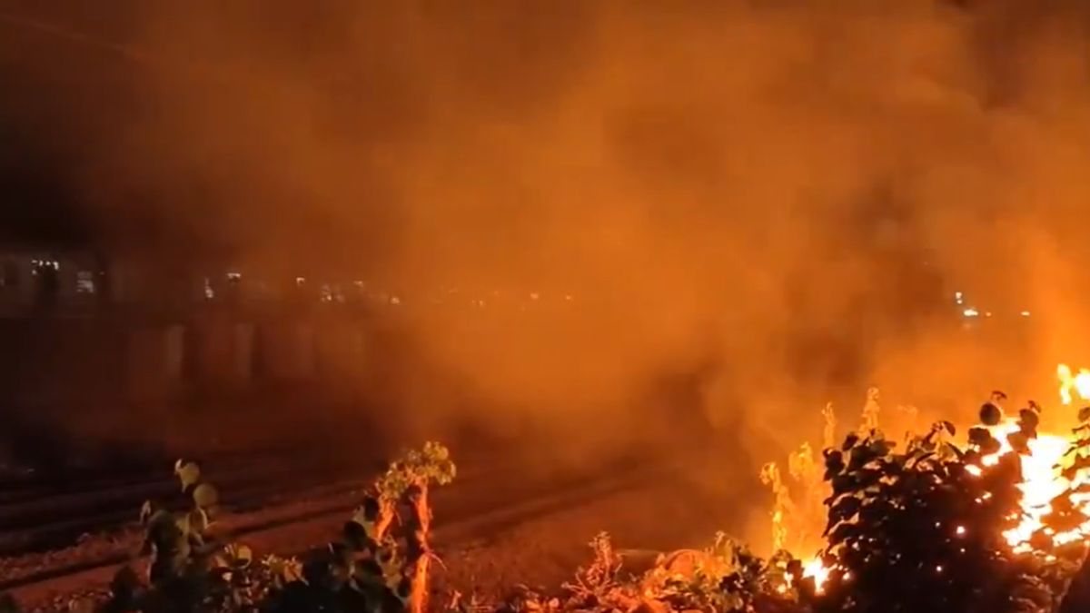 Mumbra Fire: मुंब्रा रेल्वे स्टेशनच्या ट्रॅक जवळ भडकली आग (Watch Video)
