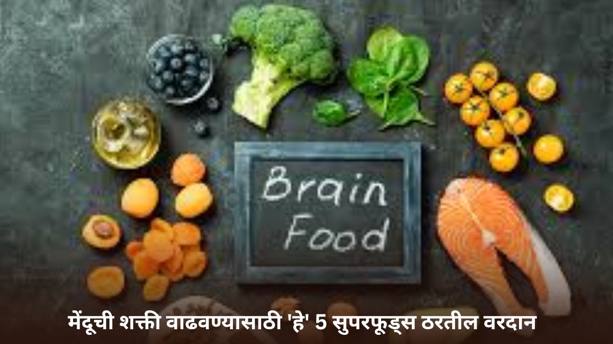 Brain Boosting Foods: मेंदूची शक्ती आणि लक्ष केंद्रित करण्यासाठी 'हे' 5 सुपरफूड्स ठरतील वरदान