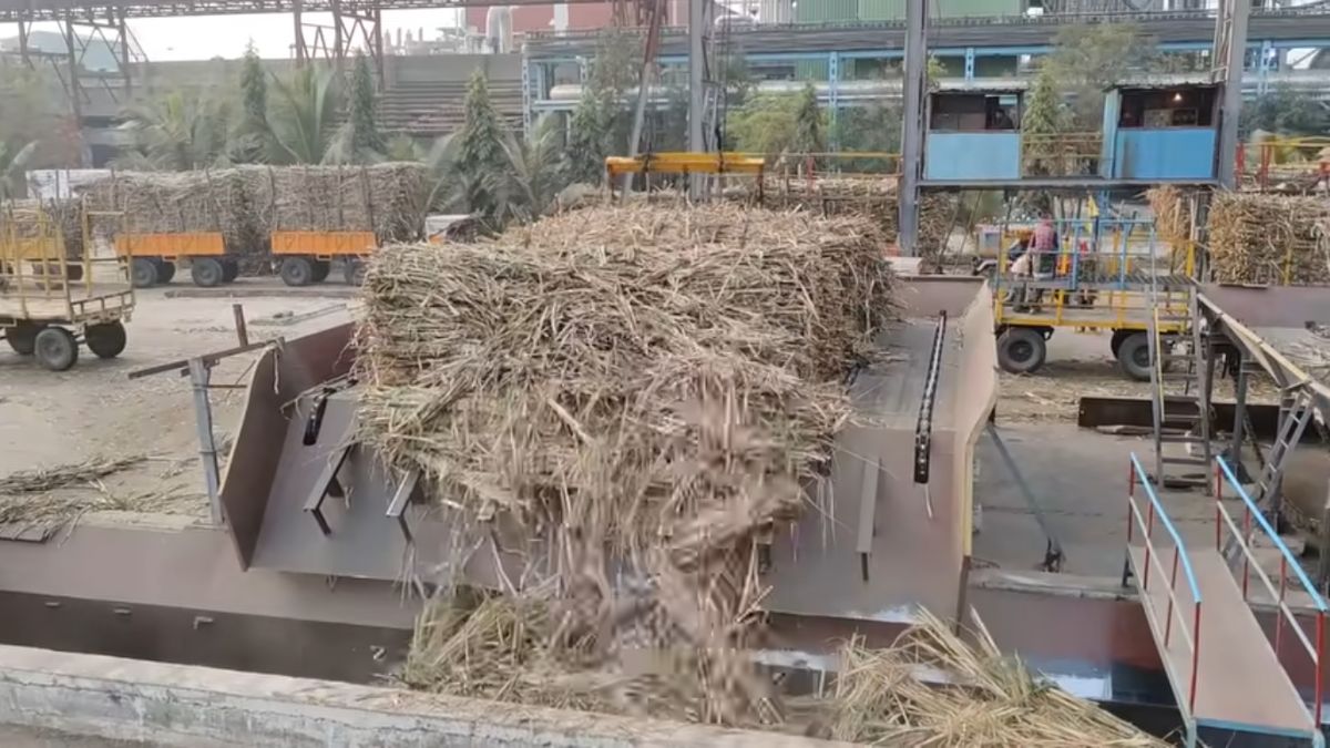 Maharashtra Sugar Mills: शेतकऱ्यांना एफआरपी टाळणाऱ्या 15 साखर कारखान्यांवर आरआरसीची कारवाई