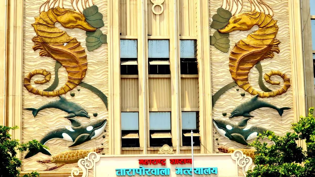 Taraporevala Aquarium To Get Facelift: मुंबईचं तारापोरवाला अ‍ॅक्वेरियम आता जागतिक दर्जाच्या पर्यटनस्थळात; ₹296 कोटींचा पुनर्विकास प्रकल्प मंजूर