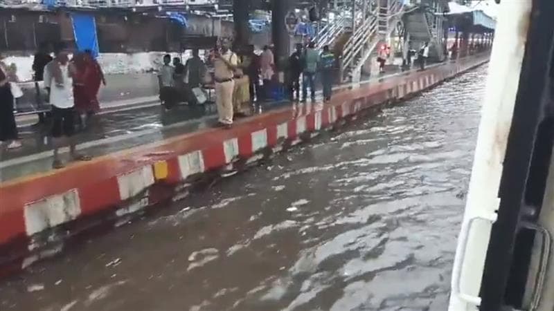 Mumbai Rains: मस्जिद रेल्वे स्थानक रेल्वे ट्रॅकवर पाणीच पाणी; हार्बर रेल्वे 20 मिनिटं उशिराने सुरू (Video)