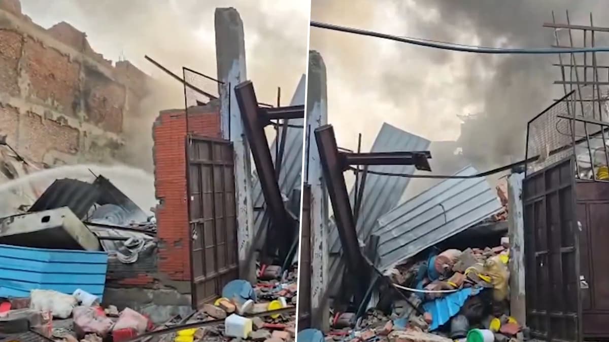 Delhi Fire: दिल्लीत औद्योगिक क्षेत्रात कारखान्याला लागली आग; 17 अग्निशमन गाड्या घटनास्थळी दाखल (Video)