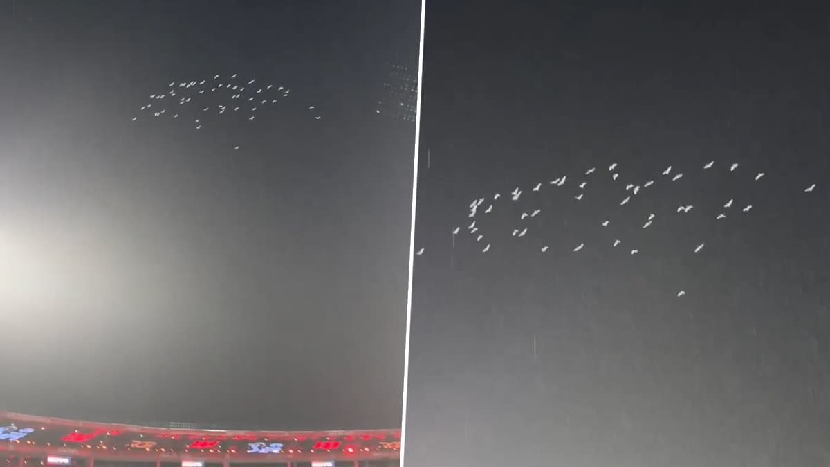 White Pigeons Pay Tribute To Virat Kohli! विराट कोहलीला निसर्गाने दिला ट्रिब्यूट; कसोटी निवृत्तीनंतर चिन्नास्वामी येथे पांढऱ्या कबुतरांचा थवा उडला (Video)