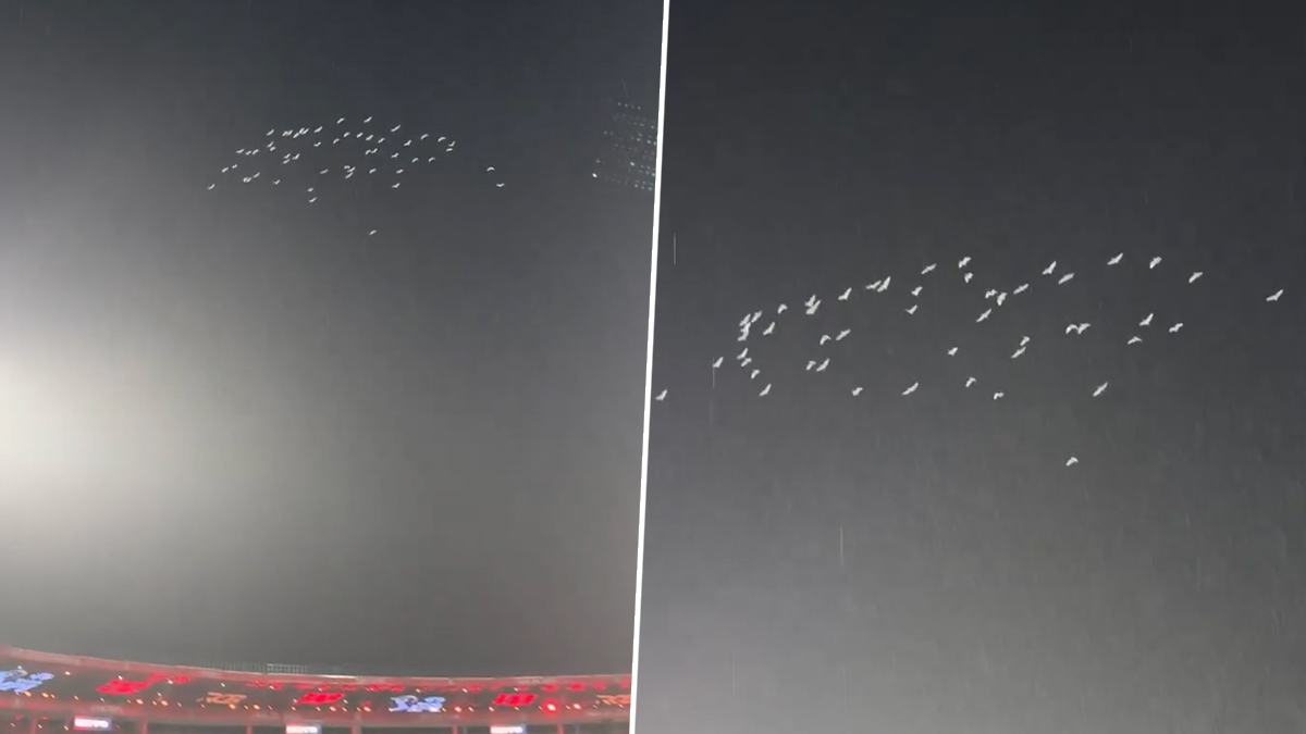 White Pigeons Pay Tribute To Virat Kohli! विराट कोहलीला निसर्गाने दिला ट्रिब्यूट; कसोटी निवृत्तीनंतर चिन्नास्वामी येथे पांढऱ्या कबुतरांचा थवा उडला (Video)