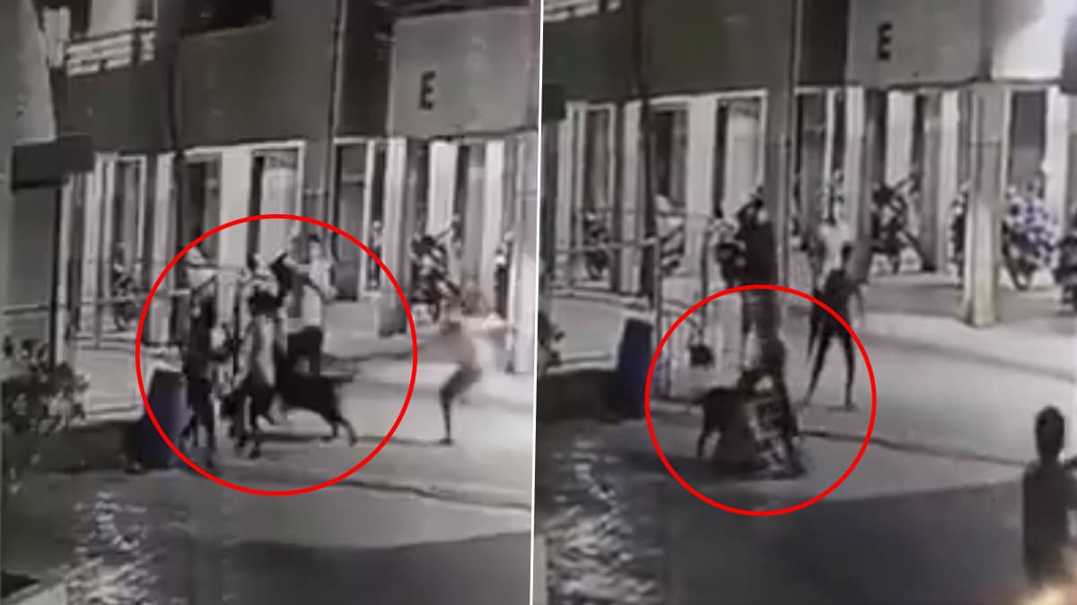 Dog Attack In Ahmedabad: रॉटविलर कुत्र्याचा 4 महिन्यांच्या मुलीवर हल्ला; चिमुरडीचा मृत्यू, पहा व्हिडिओ