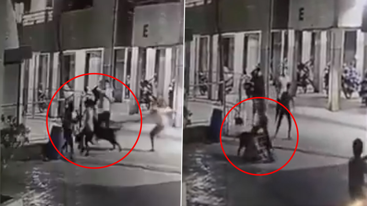 Dog Attack In Ahmedabad: रॉटविलर कुत्र्याचा 4 महिन्यांच्या मुलीवर हल्ला; चिमुरडीचा मृत्यू, पहा व्हिडिओ