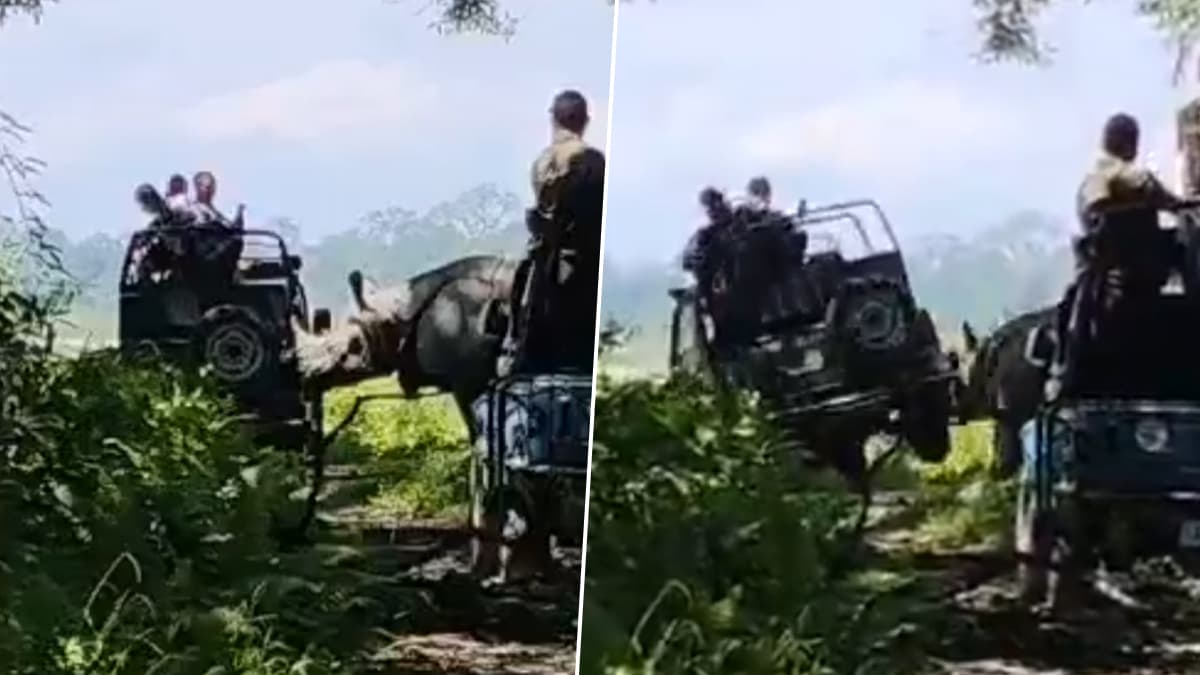 Assam च्या  Manas National Park मध्ये Rhino चा Safari Jeep पलटण्याचा प्रयत्न; व्हिडिओ वायरल