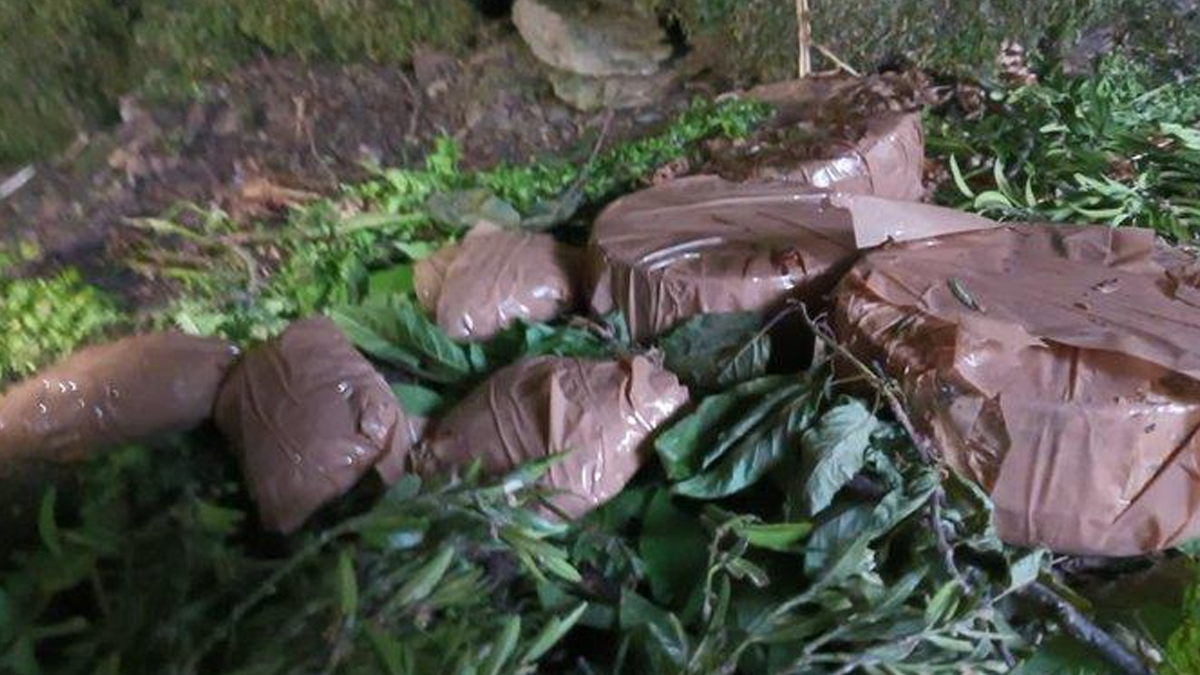 Terror Hideout Busted in J-K's Poonch: जम्मू-काश्मीरमधील पूंछमध्ये दहशतवाद्यांचा अड्डा उद्ध्वस्त; 5 IED जप्त