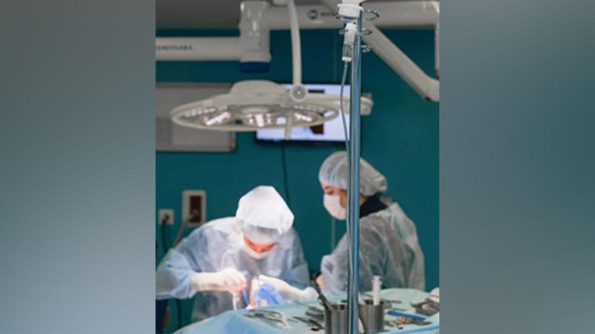 Gallstone Surgery Success: दुर्मिळ शस्त्रक्रिया; 70 वर्षीय व्यक्तीच्या पोटातून काढले पित्ताशयाचे 8,125 खडे