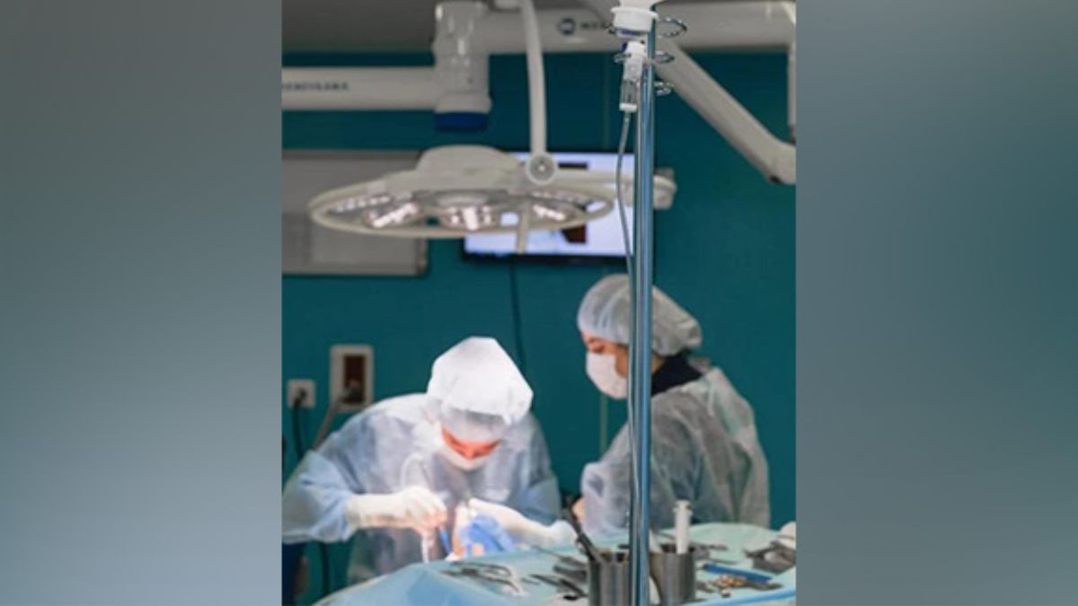 Gallstone Surgery Success: दुर्मिळ शस्त्रक्रिया; 70 वर्षीय व्यक्तीच्या पोटातून काढले पित्ताशयाचे 8,125 खडे
