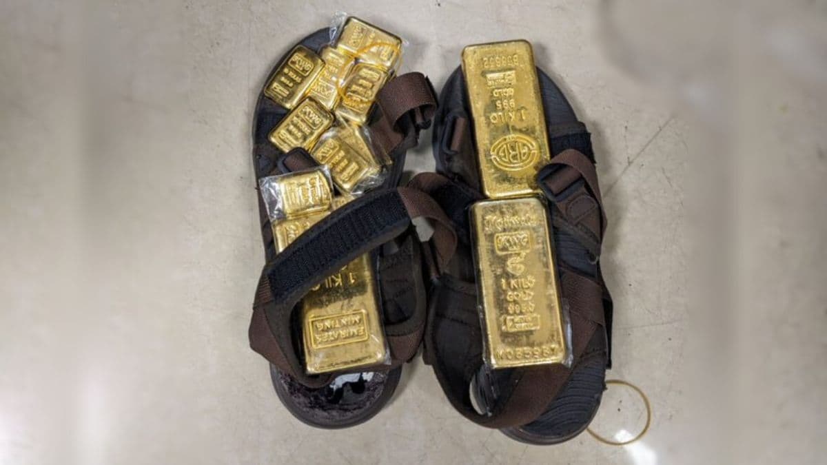 Mumbai Crime News: चाडियन नागरिकाकडून 3.86 कोटी रुपयांचे सोने जप्त; Fake India Post Link द्वारे चाललेल्या सायबर फसवणुकीचाही पर्दाफाश