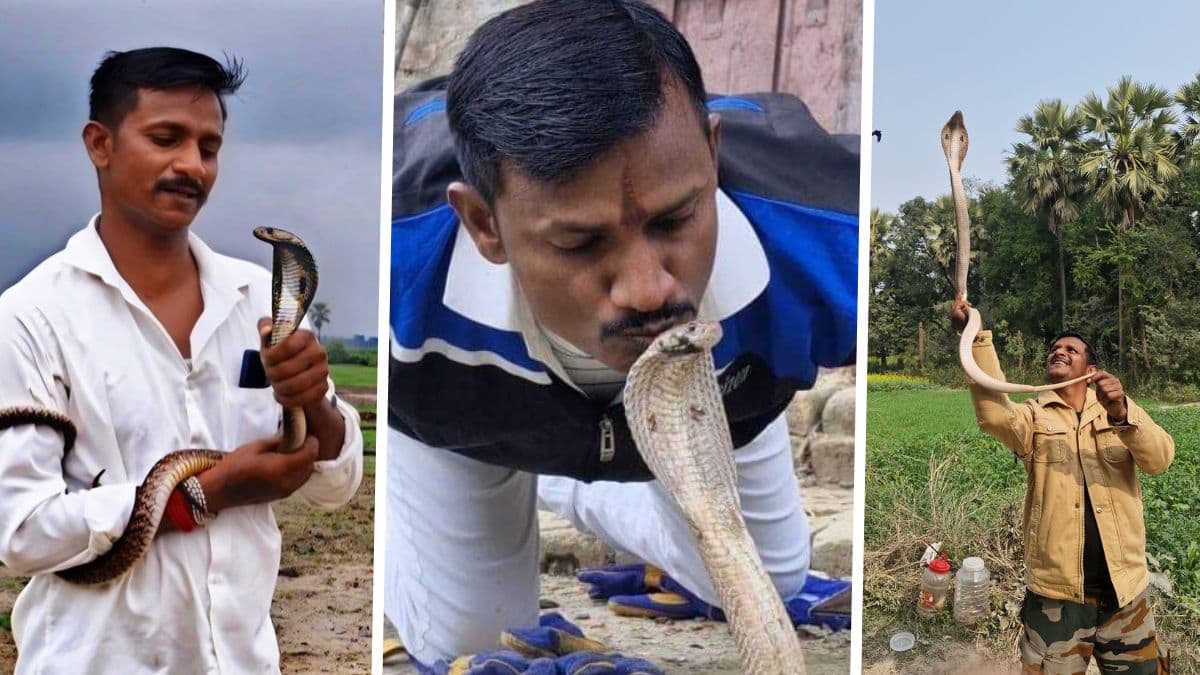 Bihar Snakes Messiah Death: सर्पमित्र जय कुमार साहनी यांचा सर्पदंशाने मृत्यू; नेटीझन्सकडून हळहळ