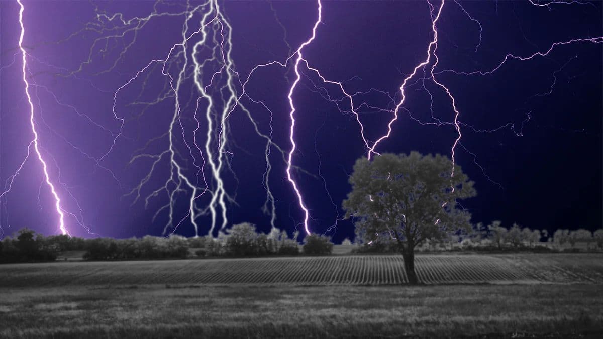 Lightning Safety Tips: गडगडाटी वादळात वीज कोसळण्याची भीती; स्वत:च्या सुरक्षेसाठी खास टीप्स