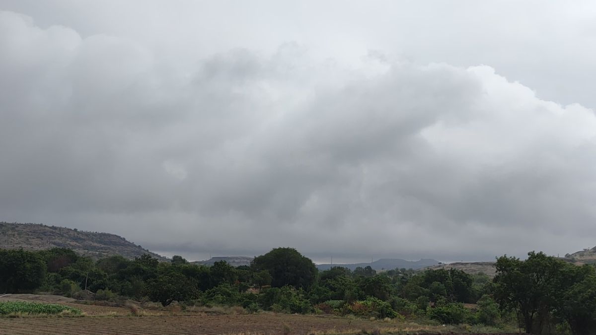 Nashik Rains 23 June: नाशिक हवामान अंदाज, 'आजचे हवामान' ढगाळ; 'उद्याचे हवामान' कसे असेल? पाहा 'मोसमी पाऊस' अपडेट.