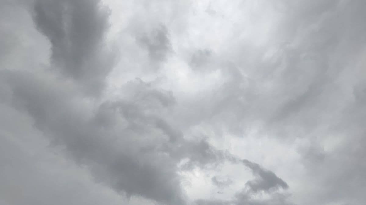 Monsoon Rainfall Data: कळलं का? नऊ वर्षे झाली, मान्सून लवकर दाखल होतोय! जाणून घ्या 2009 पासूनची आकडेवारी