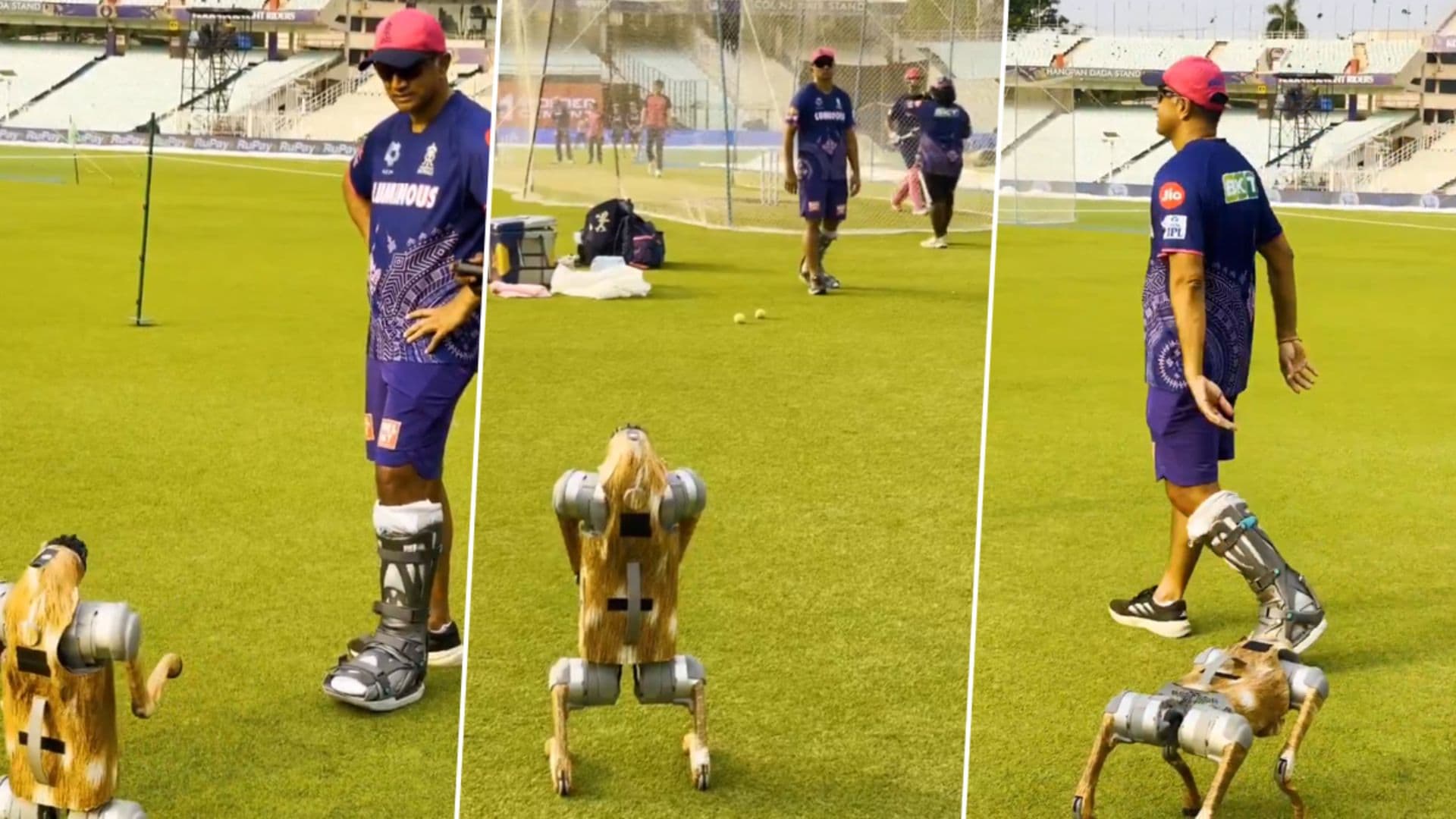 IPL 2025 Robot Dog Champak Performs Namaste: रोबोट डॉग 'चंपक'ची धमाल; राजस्थान रॉयल्सचे प्रशिक्षक राहुल द्रविड यांना ईडन गार्डन्सवर केले नमस्कार (Video)